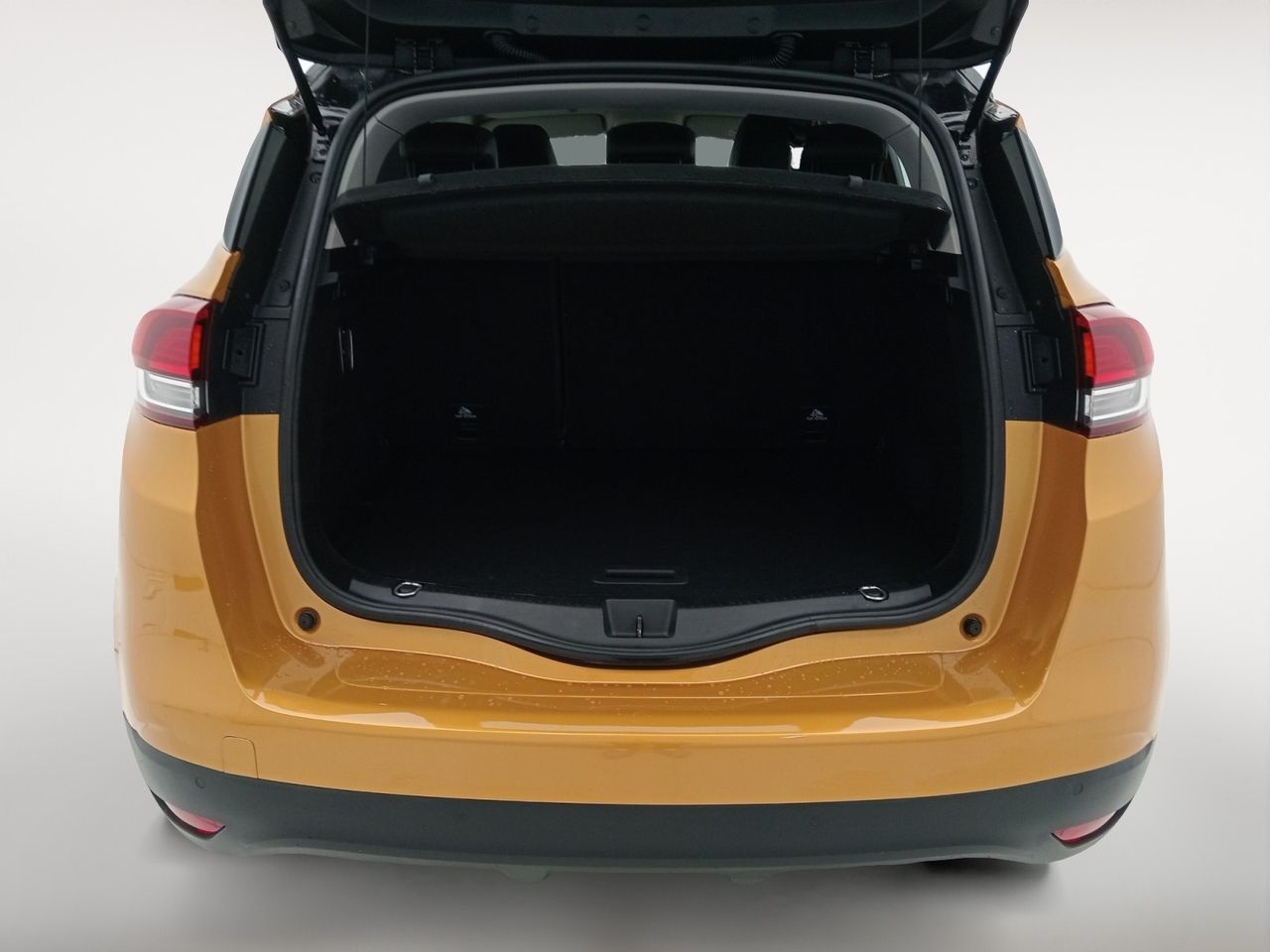 Foto Renault Scénic 26