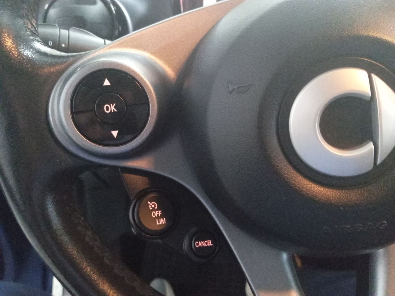 Foto Smart Forfour 14
