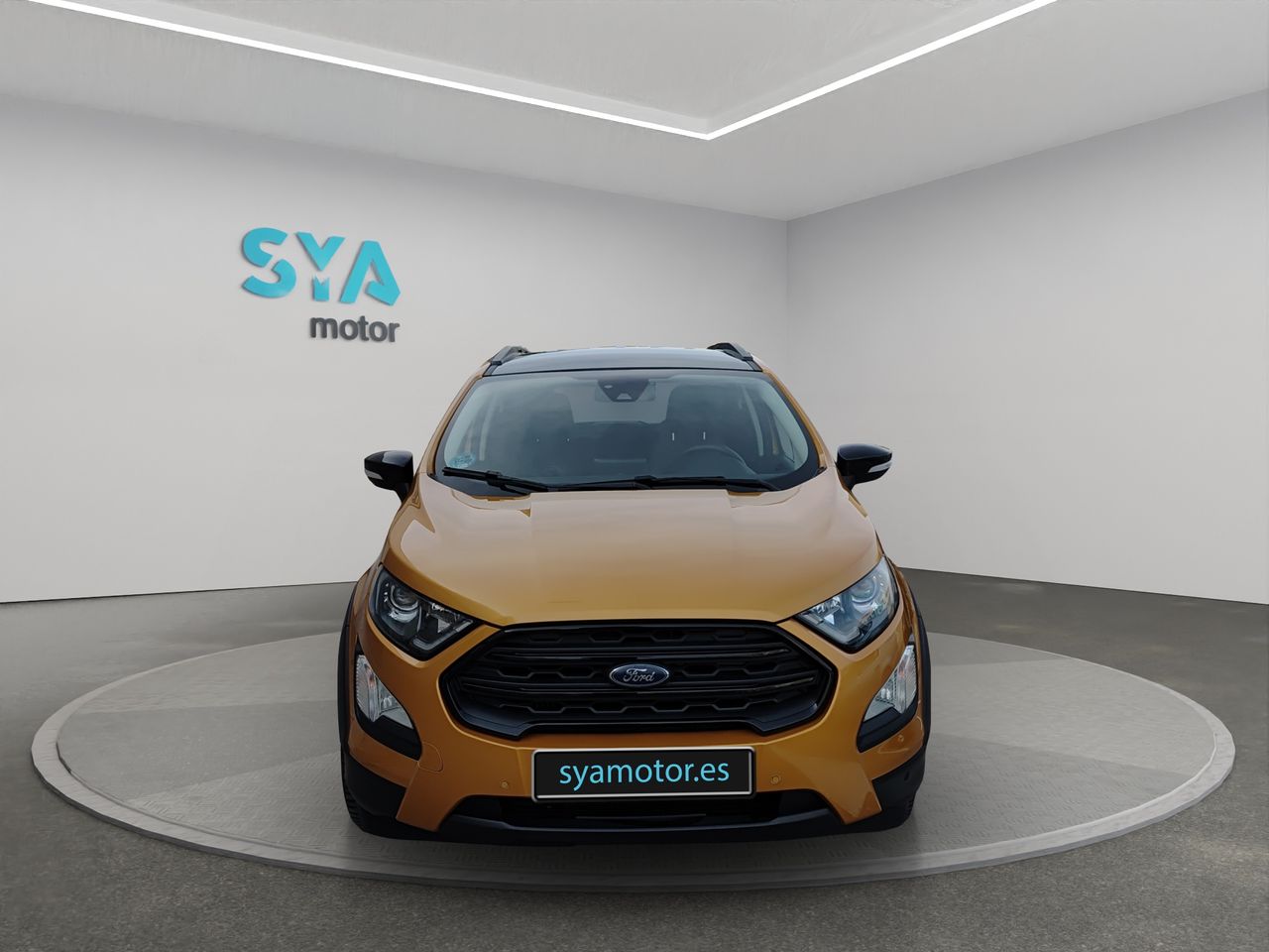 Foto Ford Ecosport 11