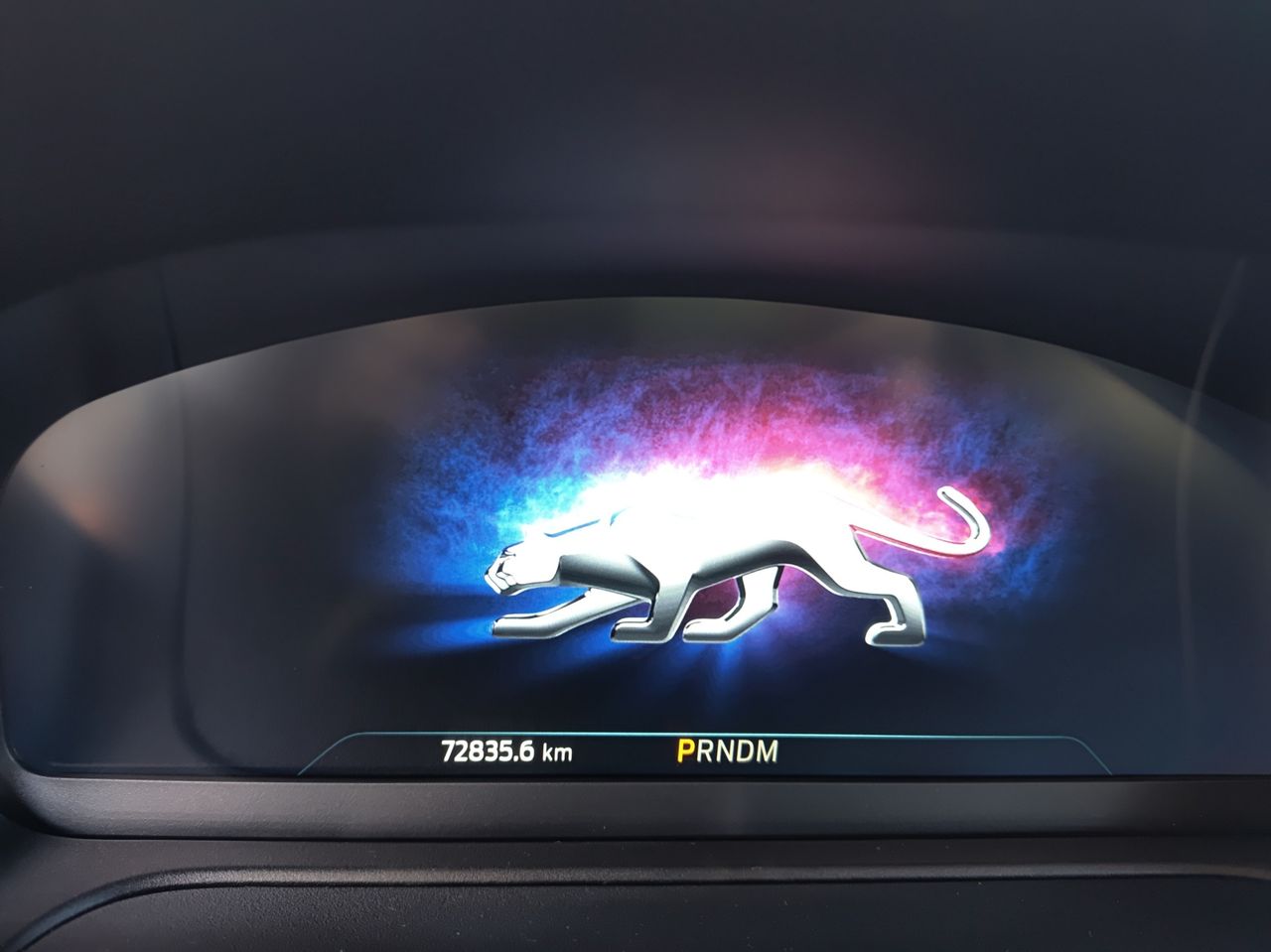 Foto Ford Puma 24