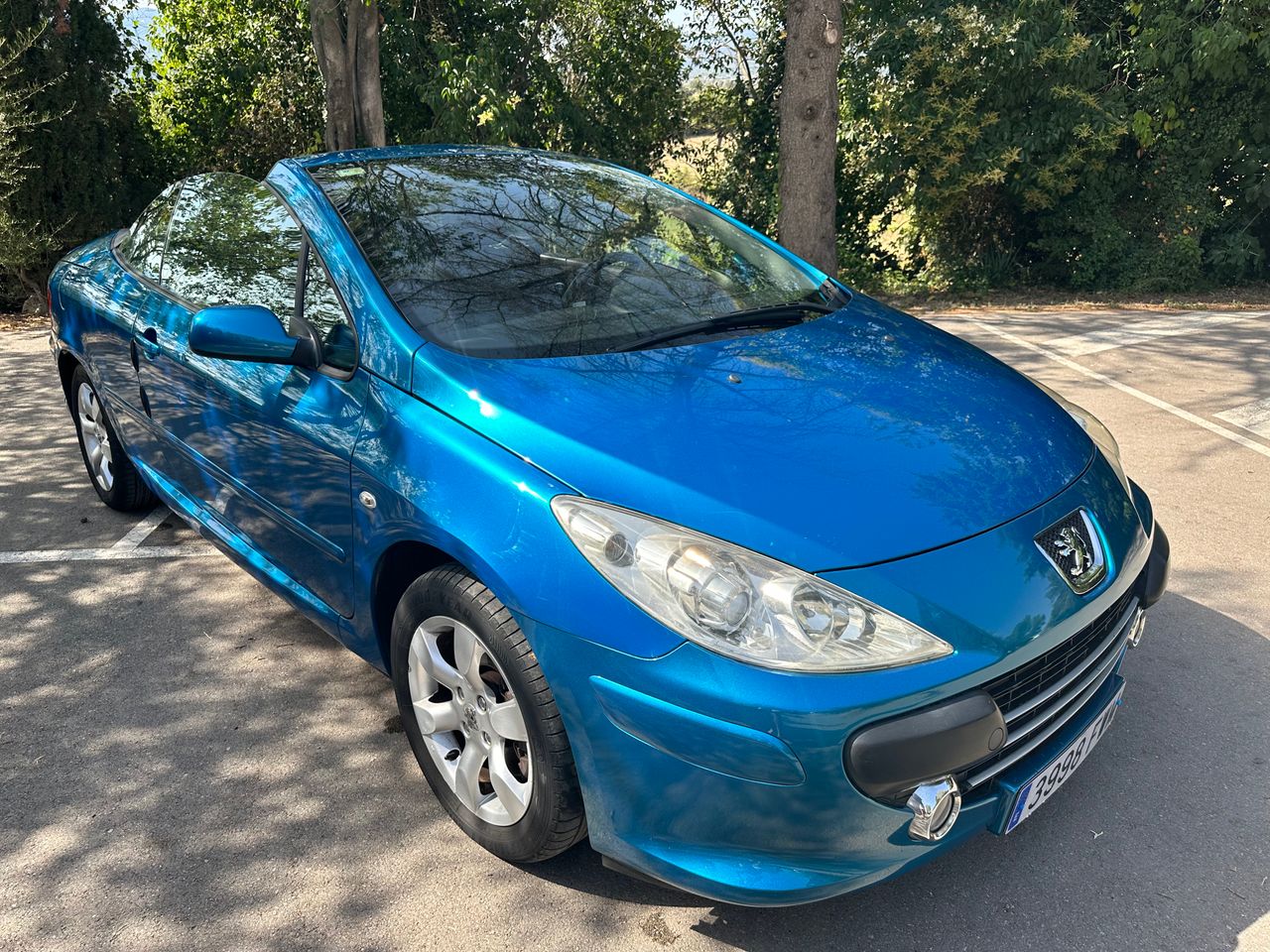 Foto Peugeot 307 CC 11