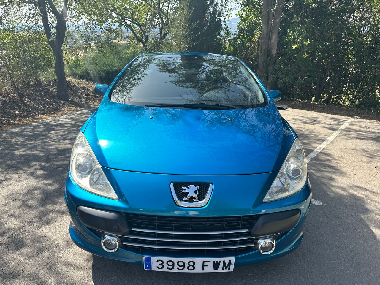 Foto Peugeot 307 CC 14