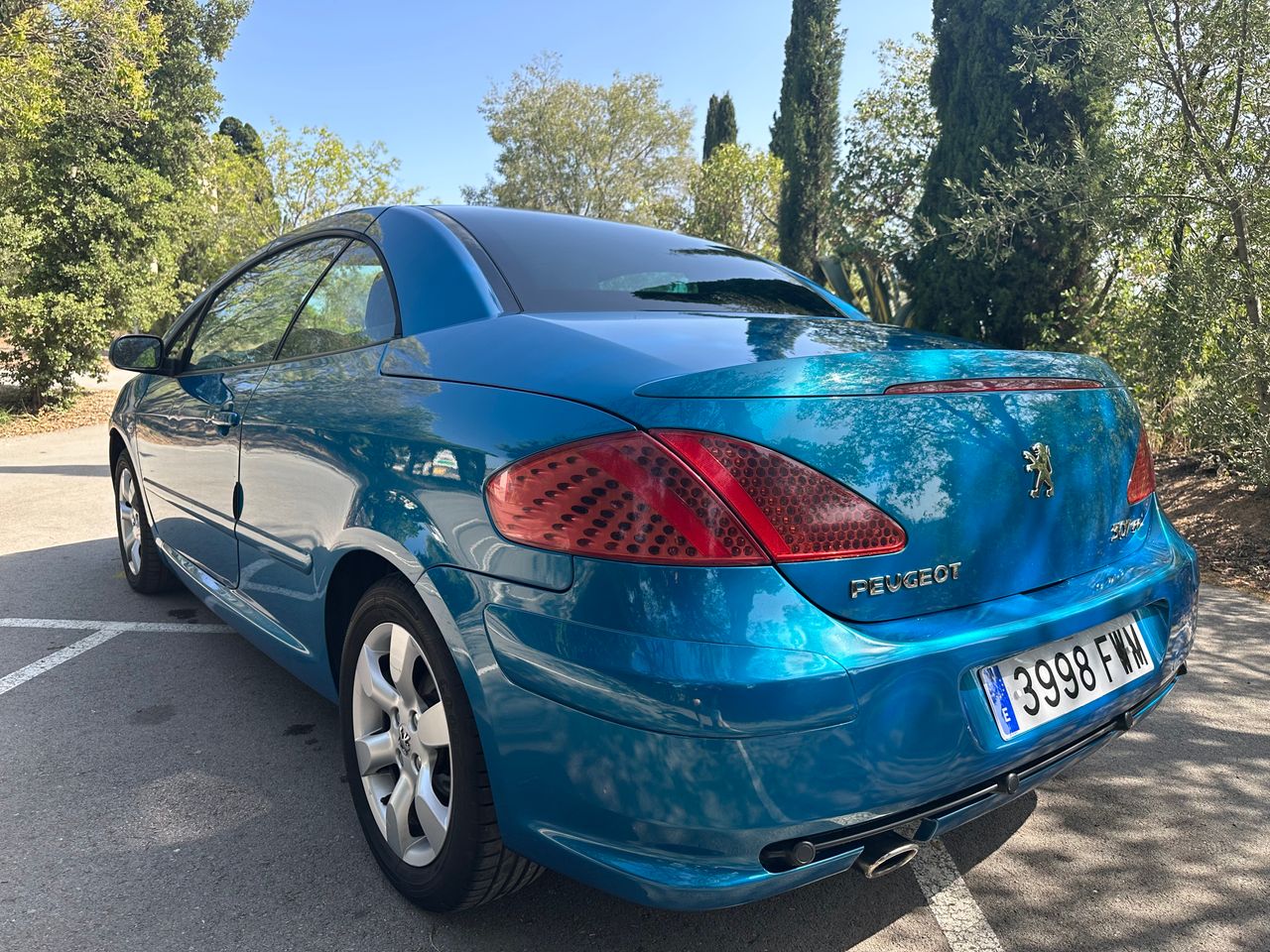 Foto Peugeot 307 3
