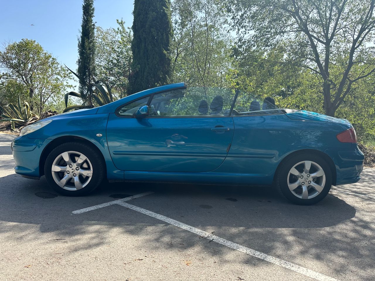 Foto Peugeot 307 8