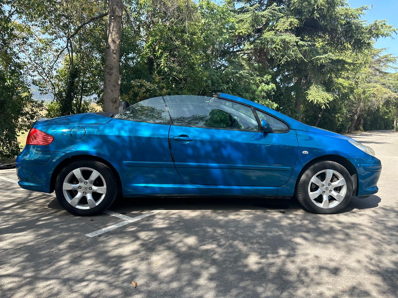 Foto Peugeot 307 9