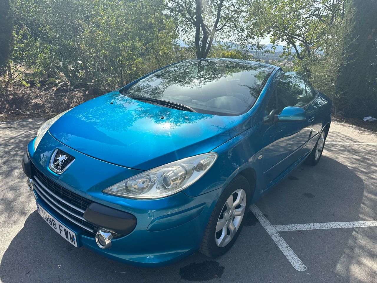 Foto Peugeot 307 10
