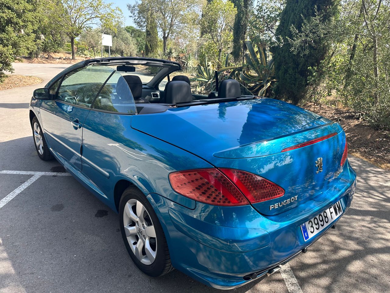 Foto Peugeot 307 12