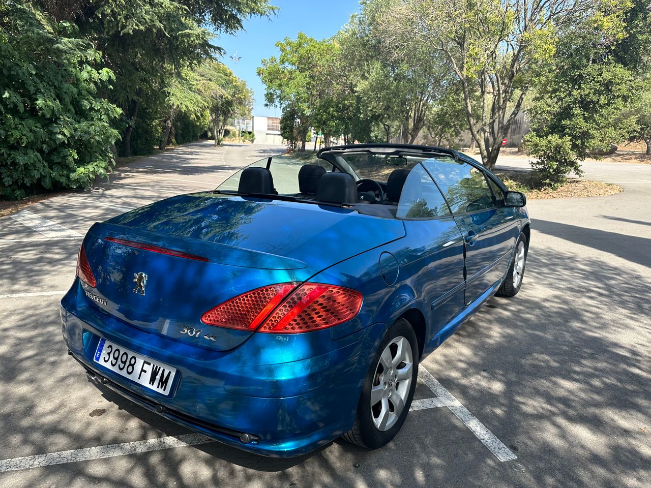 Foto Peugeot 307 13