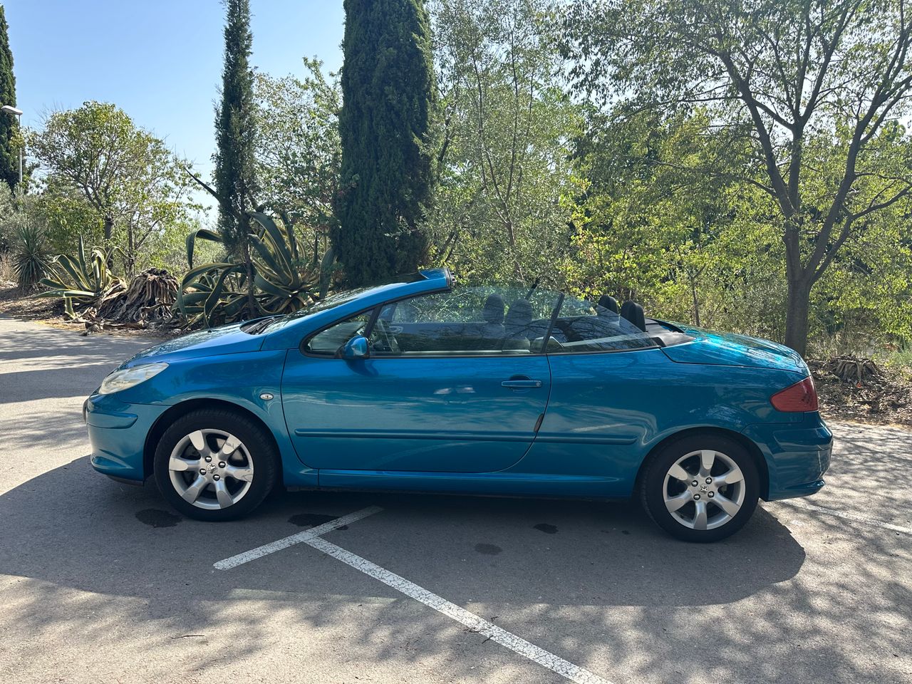Foto Peugeot 307 16