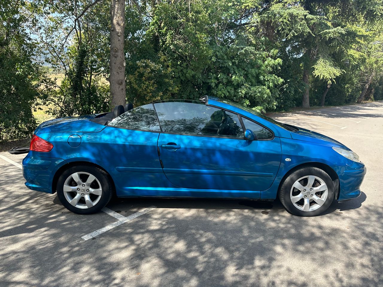 Foto Peugeot 307 17