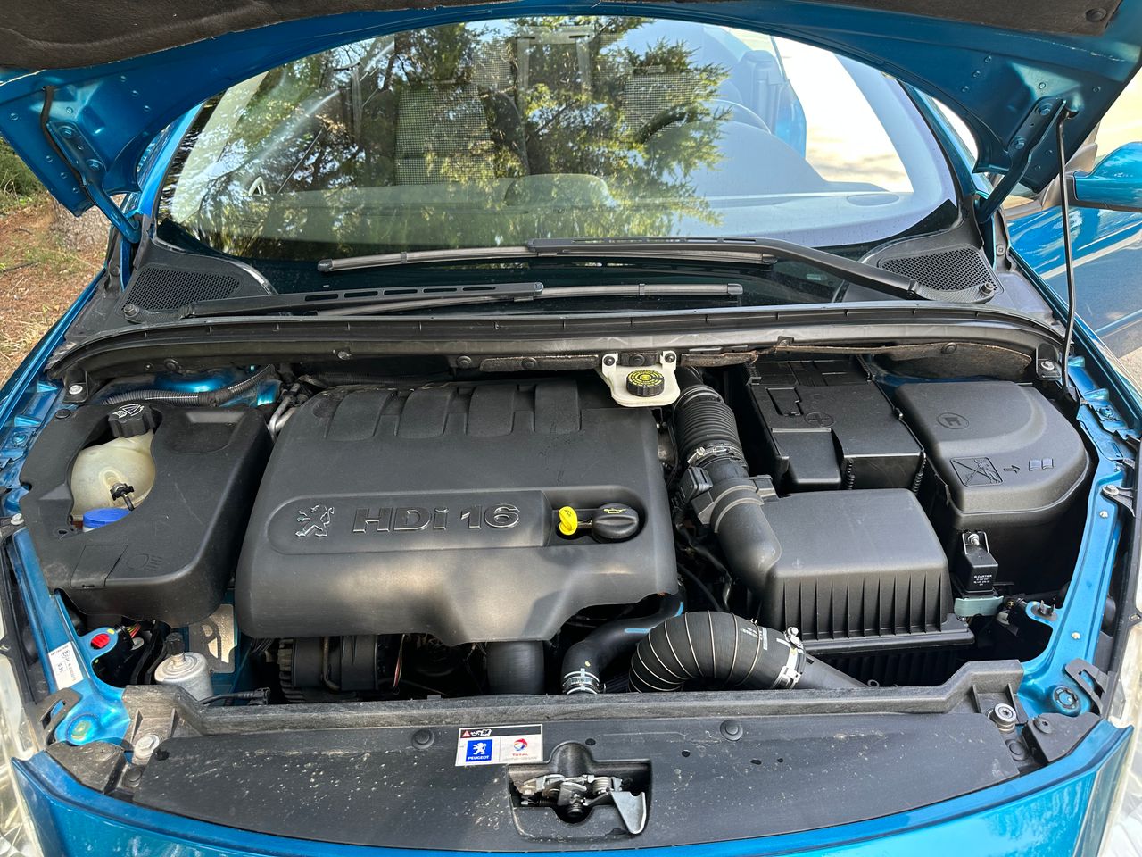 Foto Peugeot 307 26