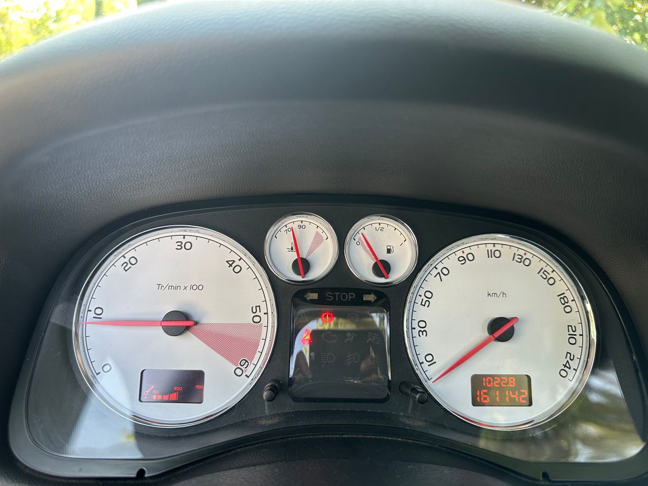 Foto Peugeot 307 27