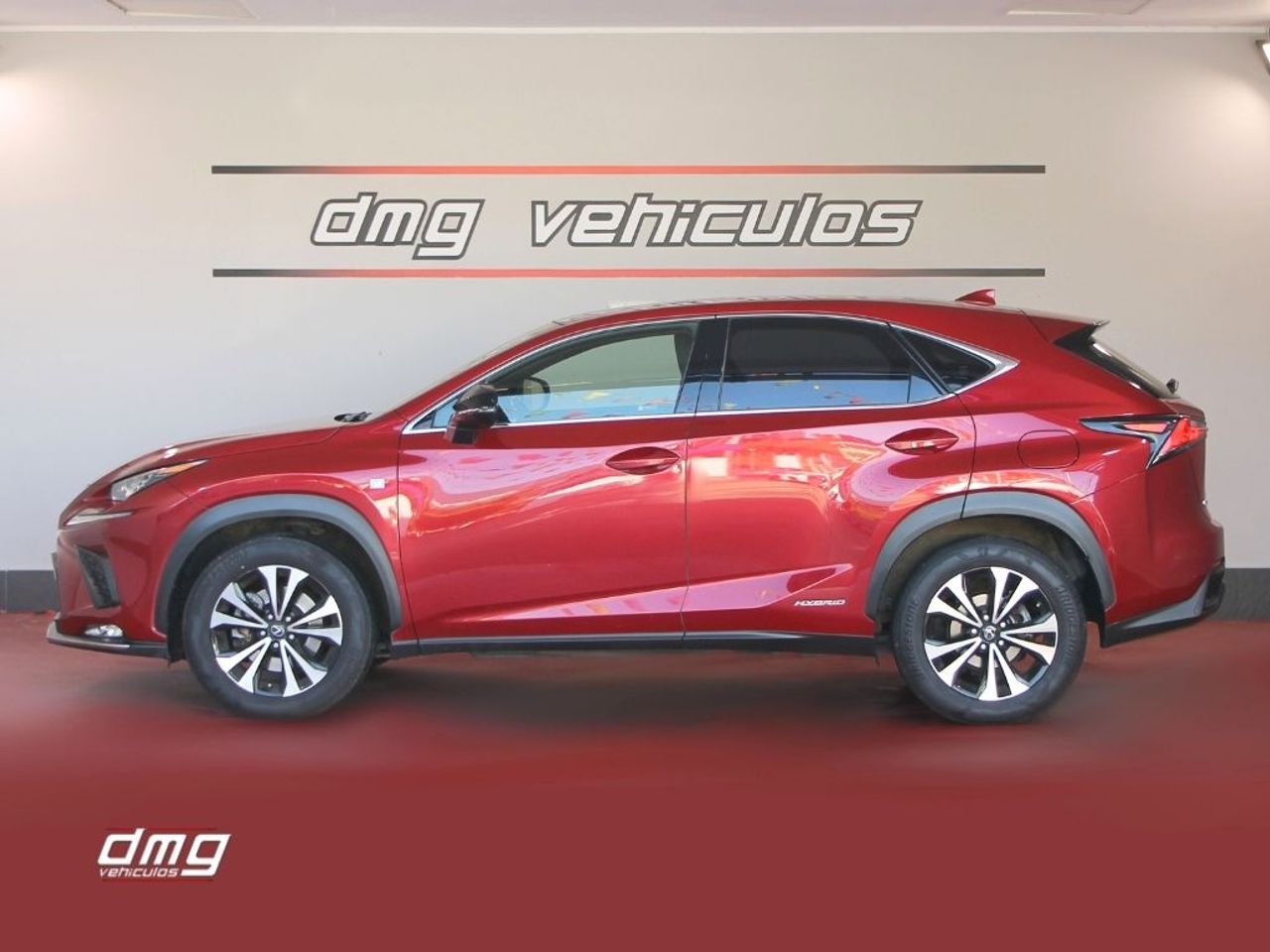 Foto Lexus NX 6