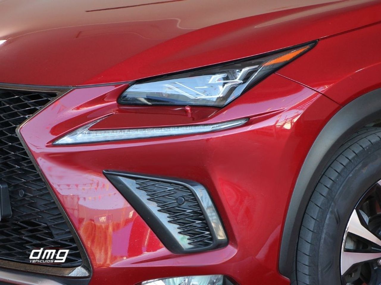 Foto Lexus NX 41