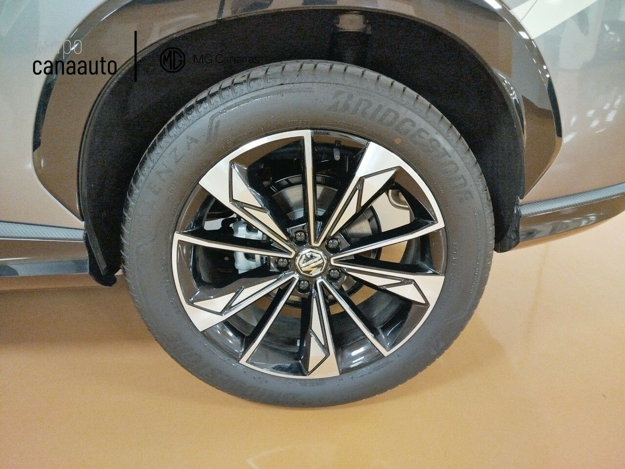 Foto MG HS 11