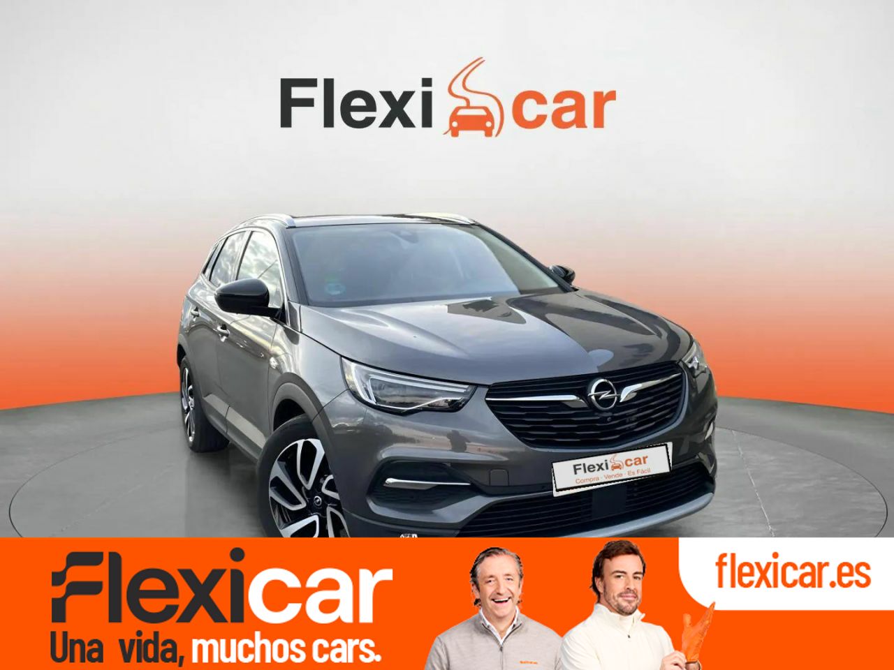Foto Opel Grandland X 1