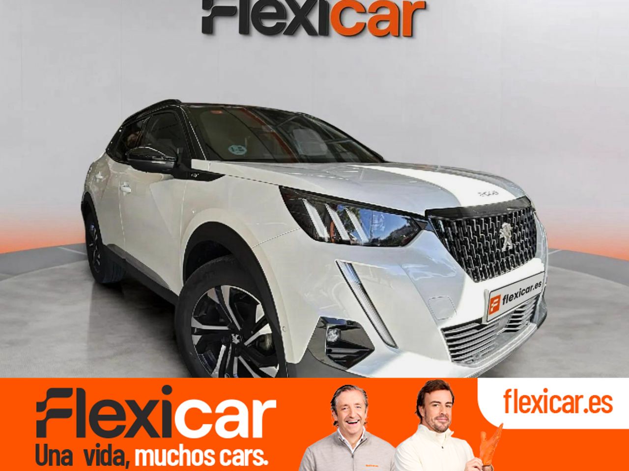 Foto Peugeot 2008 1