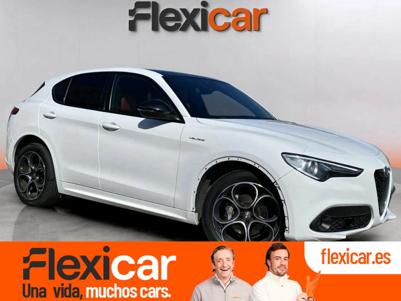 Foto Alfa Romeo Stelvio 1