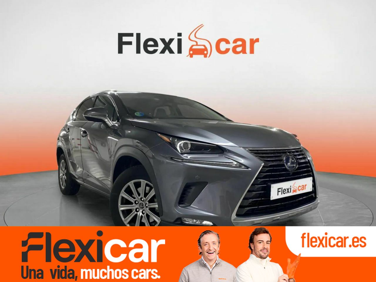 Foto Lexus NX 1