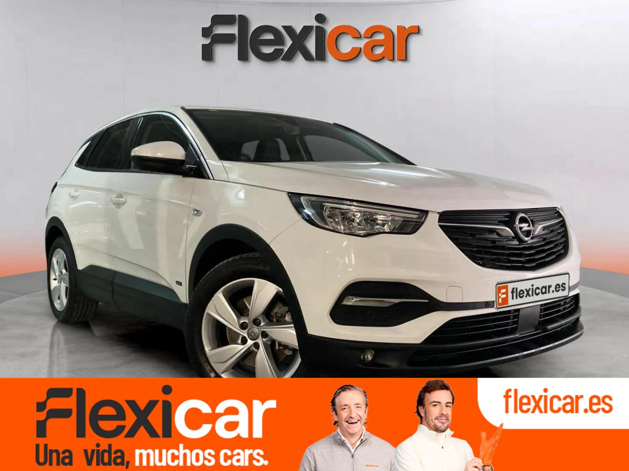 Foto Opel Grandland X 1