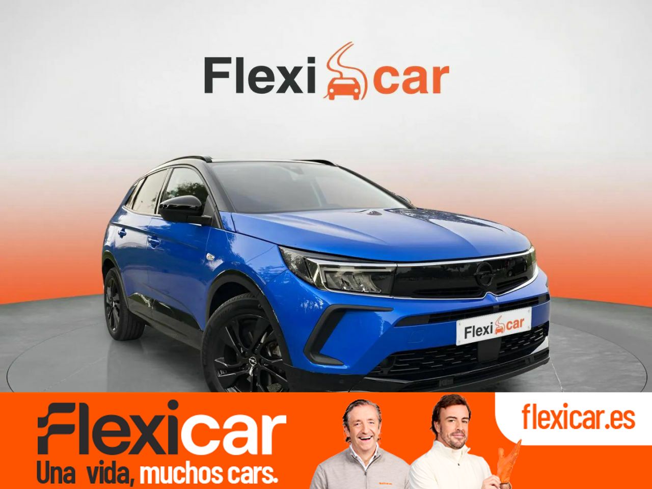 Foto Opel Grandland X 1