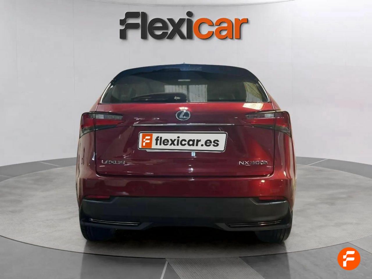 Foto Lexus NX 5