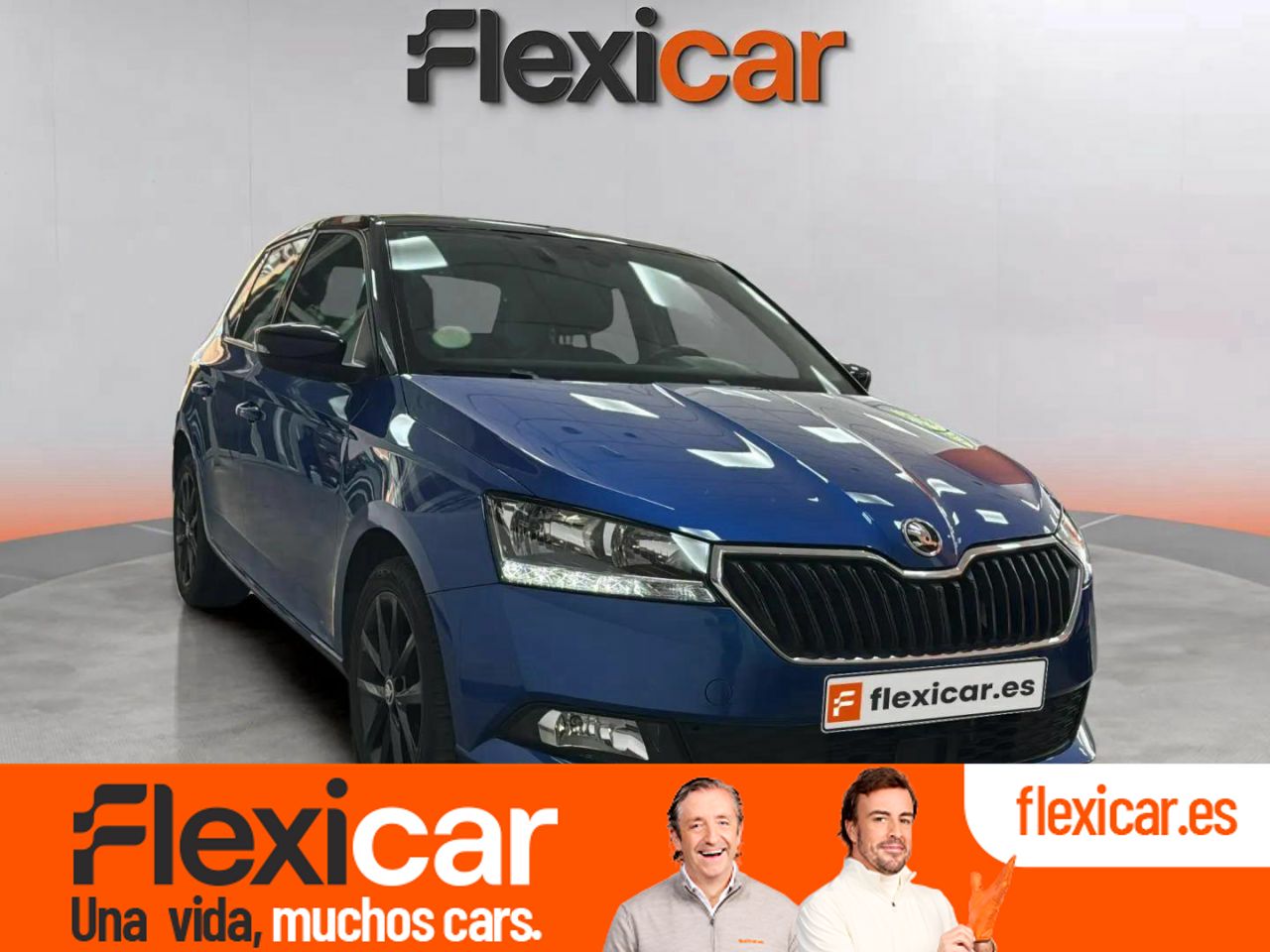 Foto Skoda Fabia 1