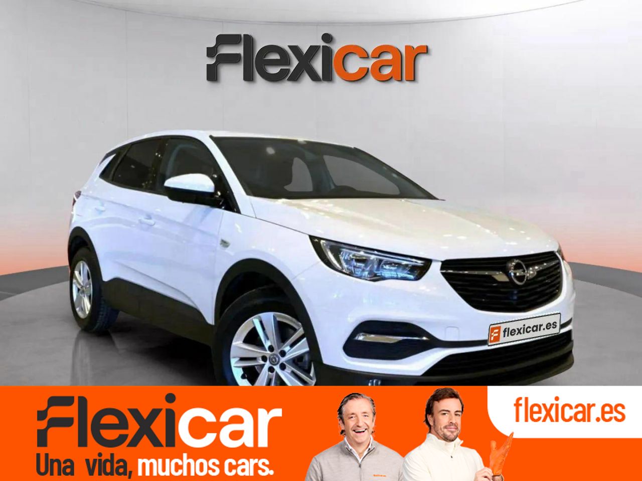 Foto Opel Grandland X 1