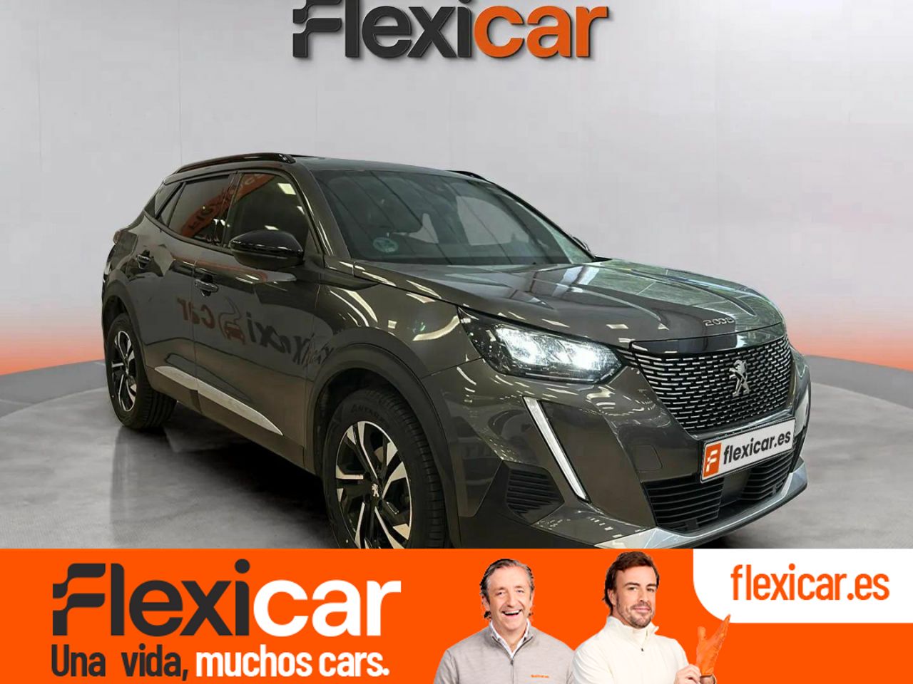 Foto Peugeot 2008 1