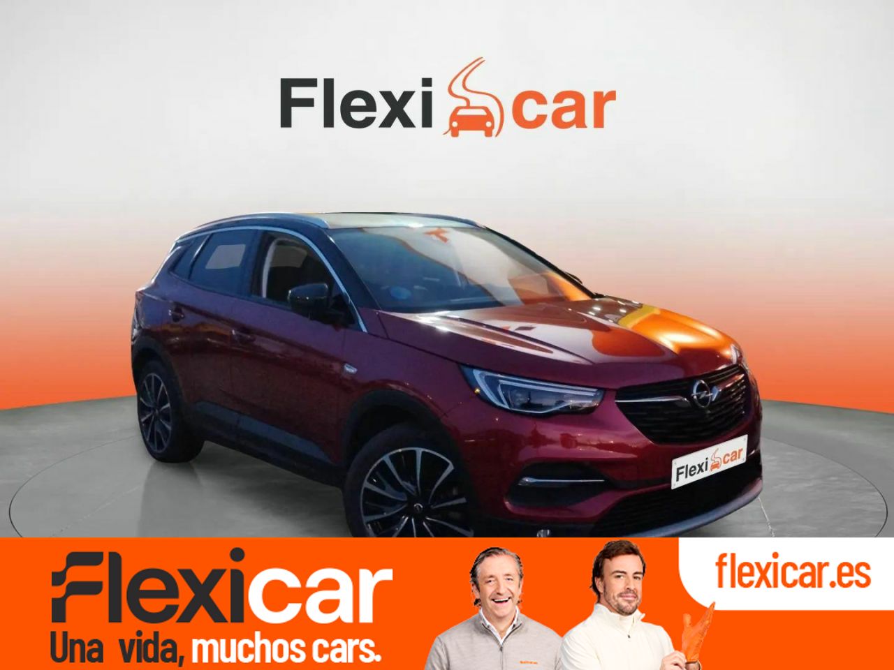 Foto Opel Grandland X 1