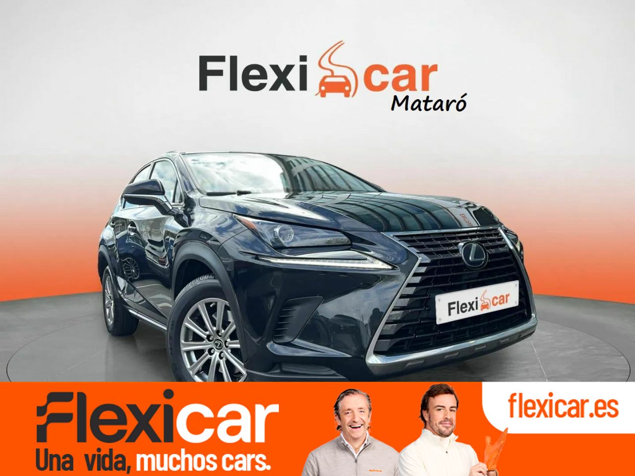 Foto Lexus NX 1