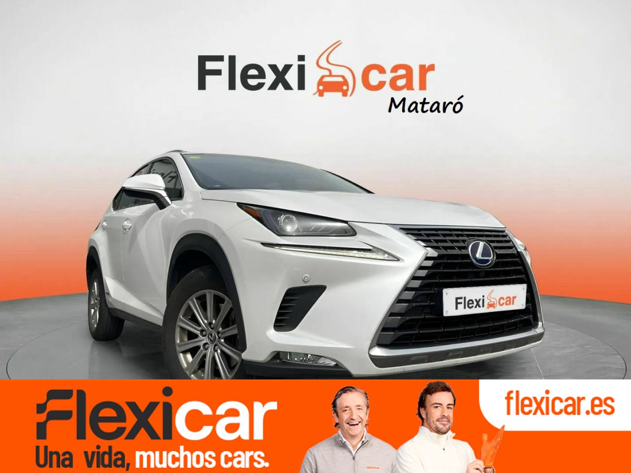 Foto Lexus NX 1