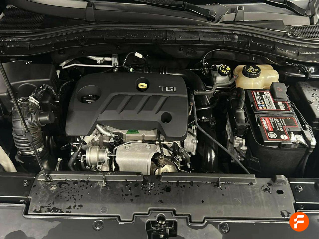 Foto MG ZS 15