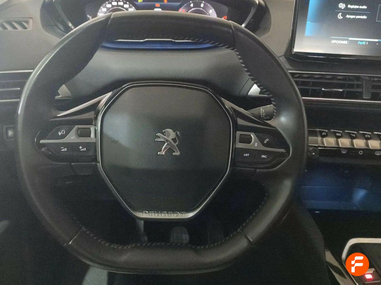 Foto Peugeot 3008 9