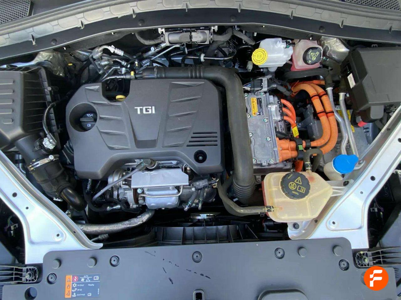 Foto MG HS 19
