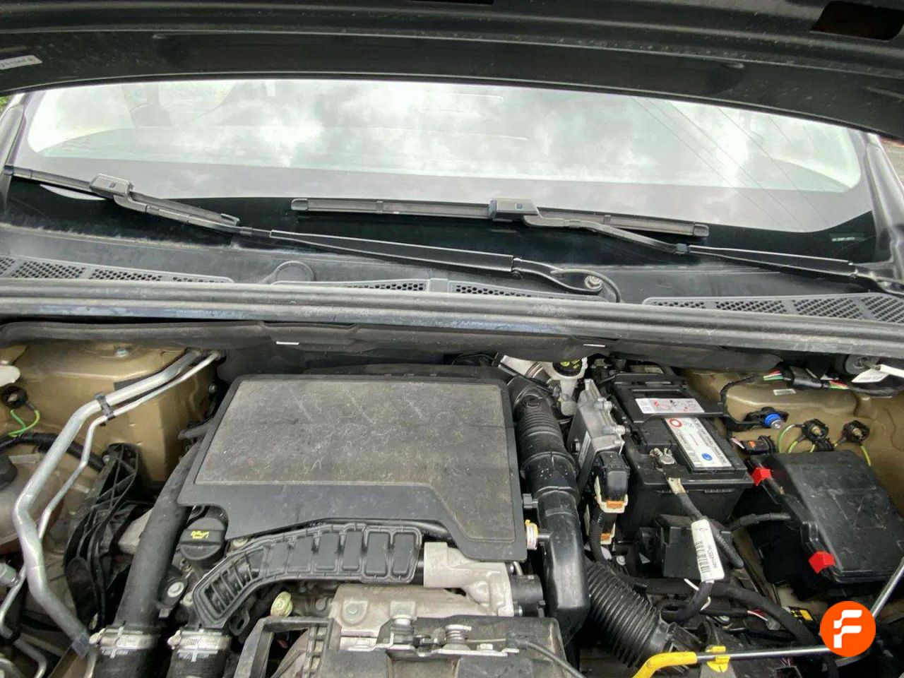 Foto Peugeot Rifter 29