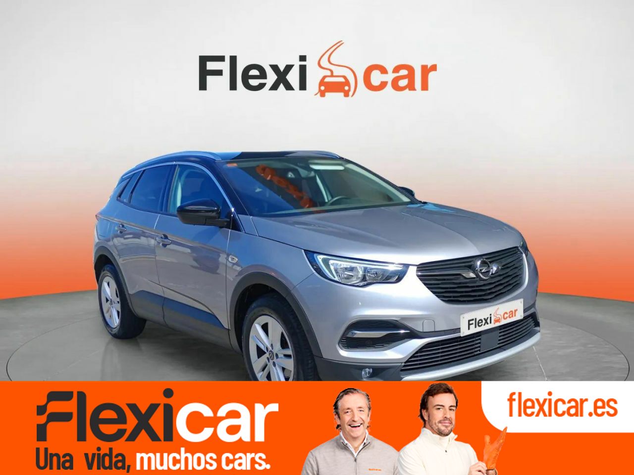 Foto Opel Grandland X 1