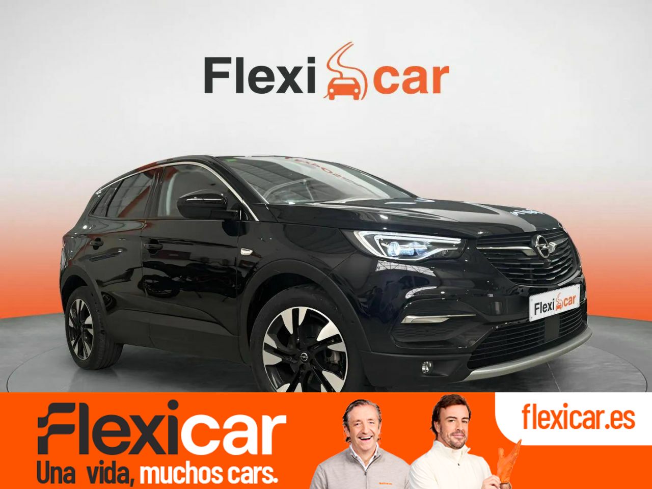 Foto Opel Grandland X 1