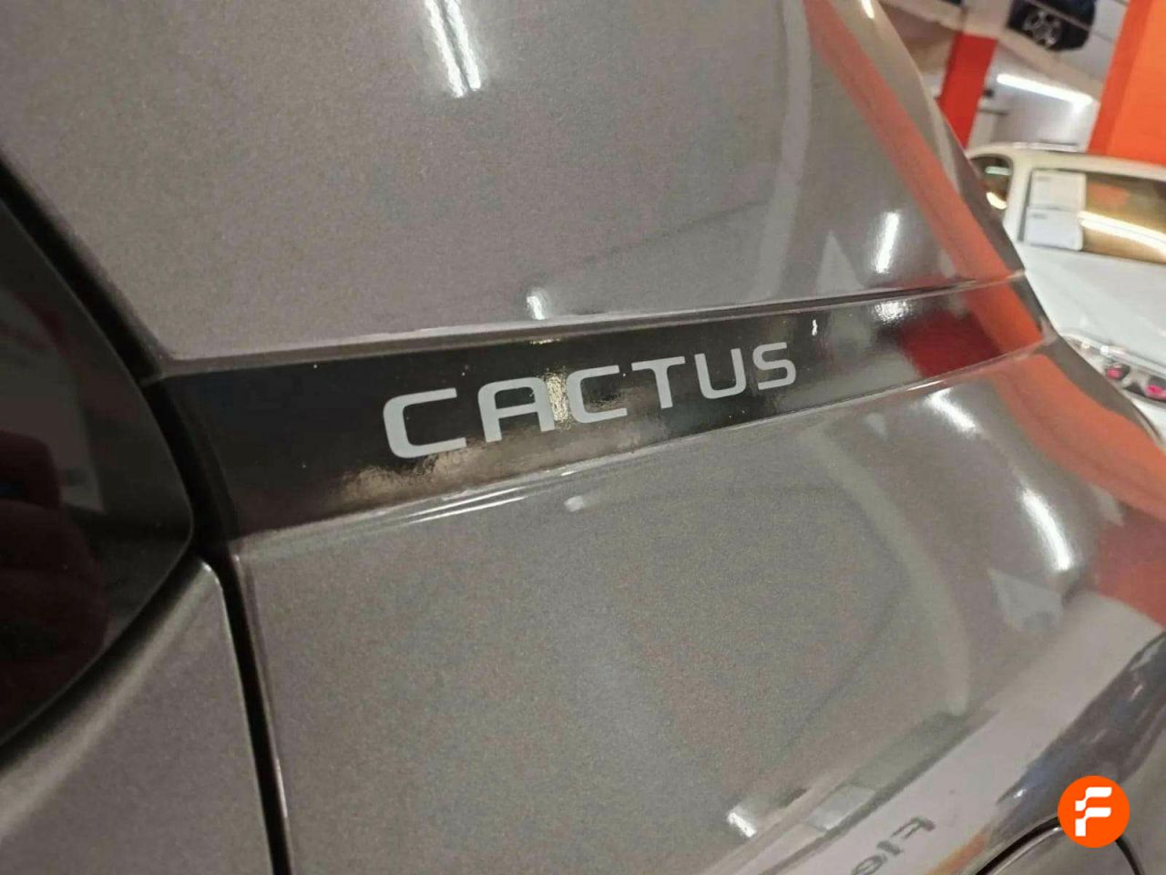 Foto Citroën C4 Cactus 20