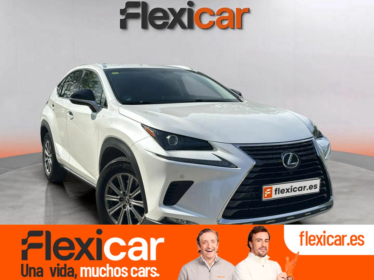Foto Lexus NX 1