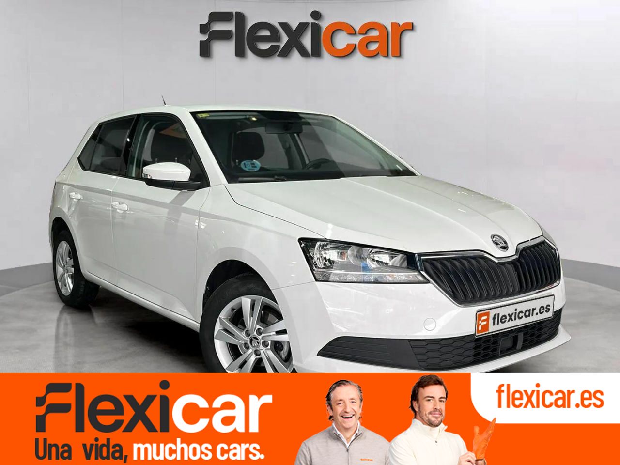 Foto Skoda Fabia 1