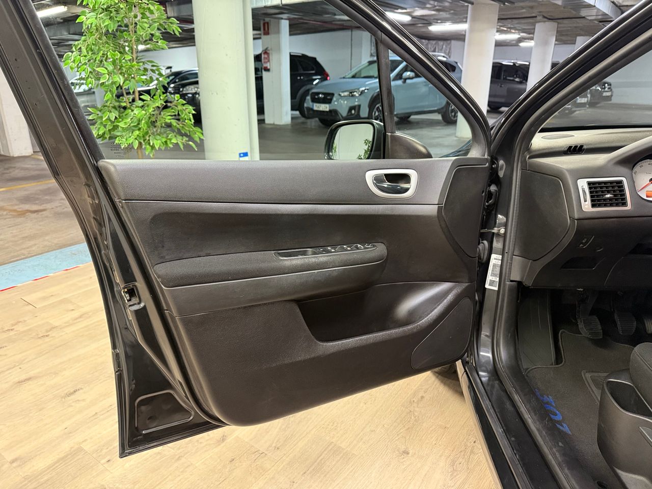 Foto Peugeot 307 17