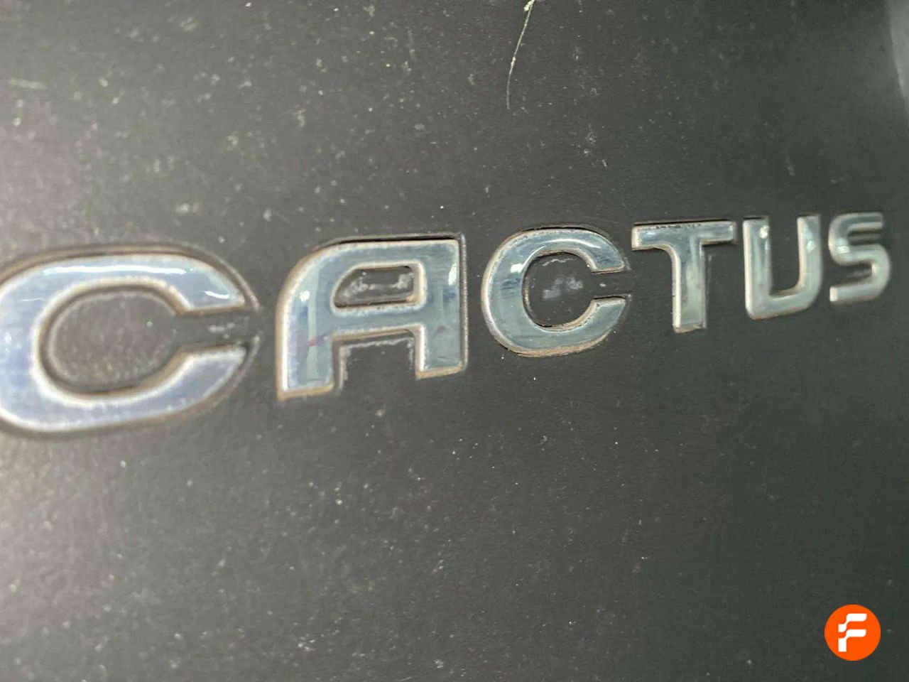 Foto Citroën C4 Cactus 30