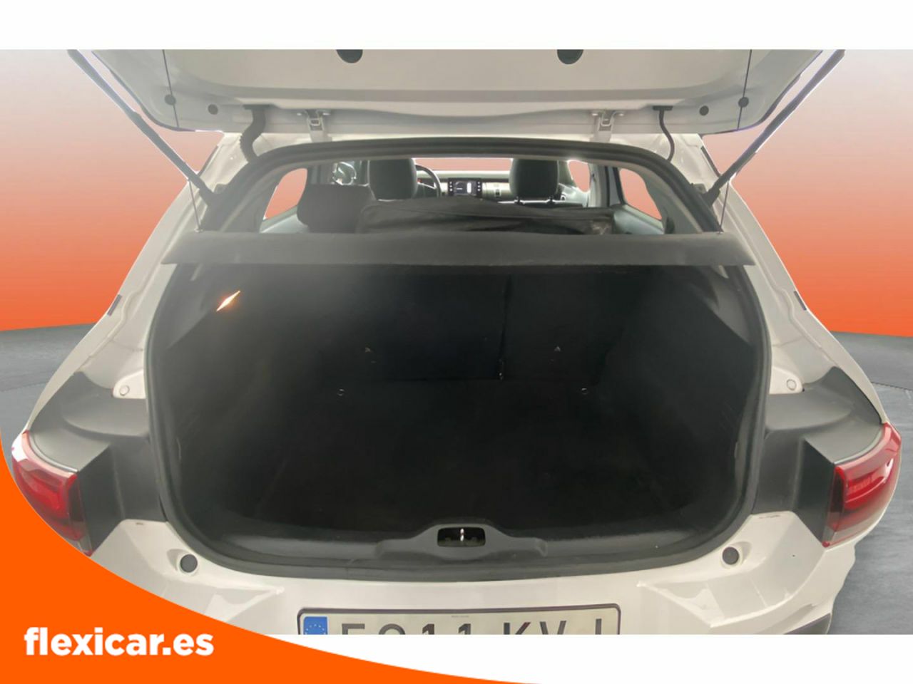 Foto Citroën C4 Cactus 10