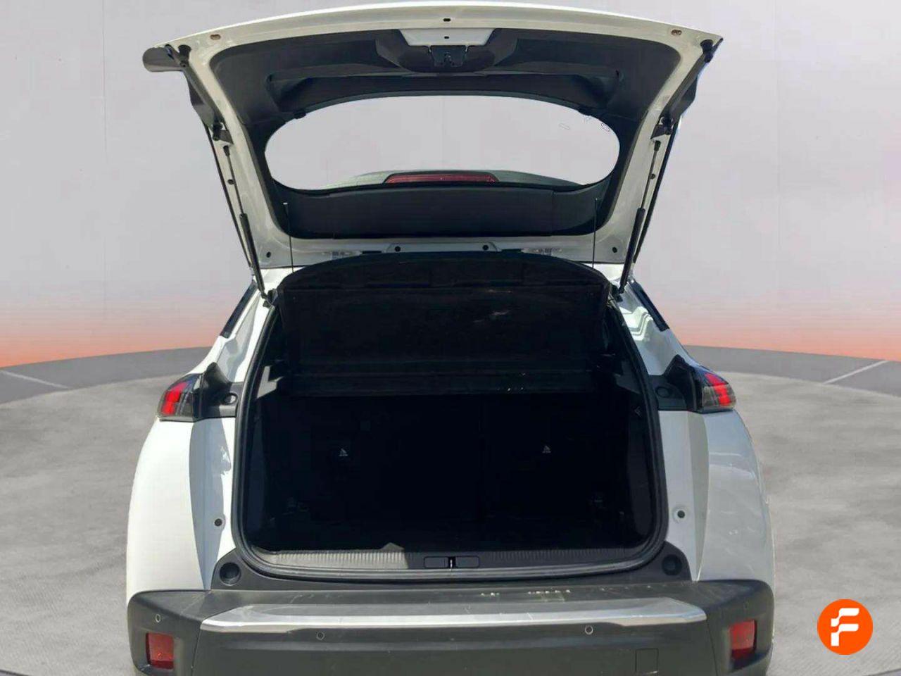 Foto Peugeot 2008 10