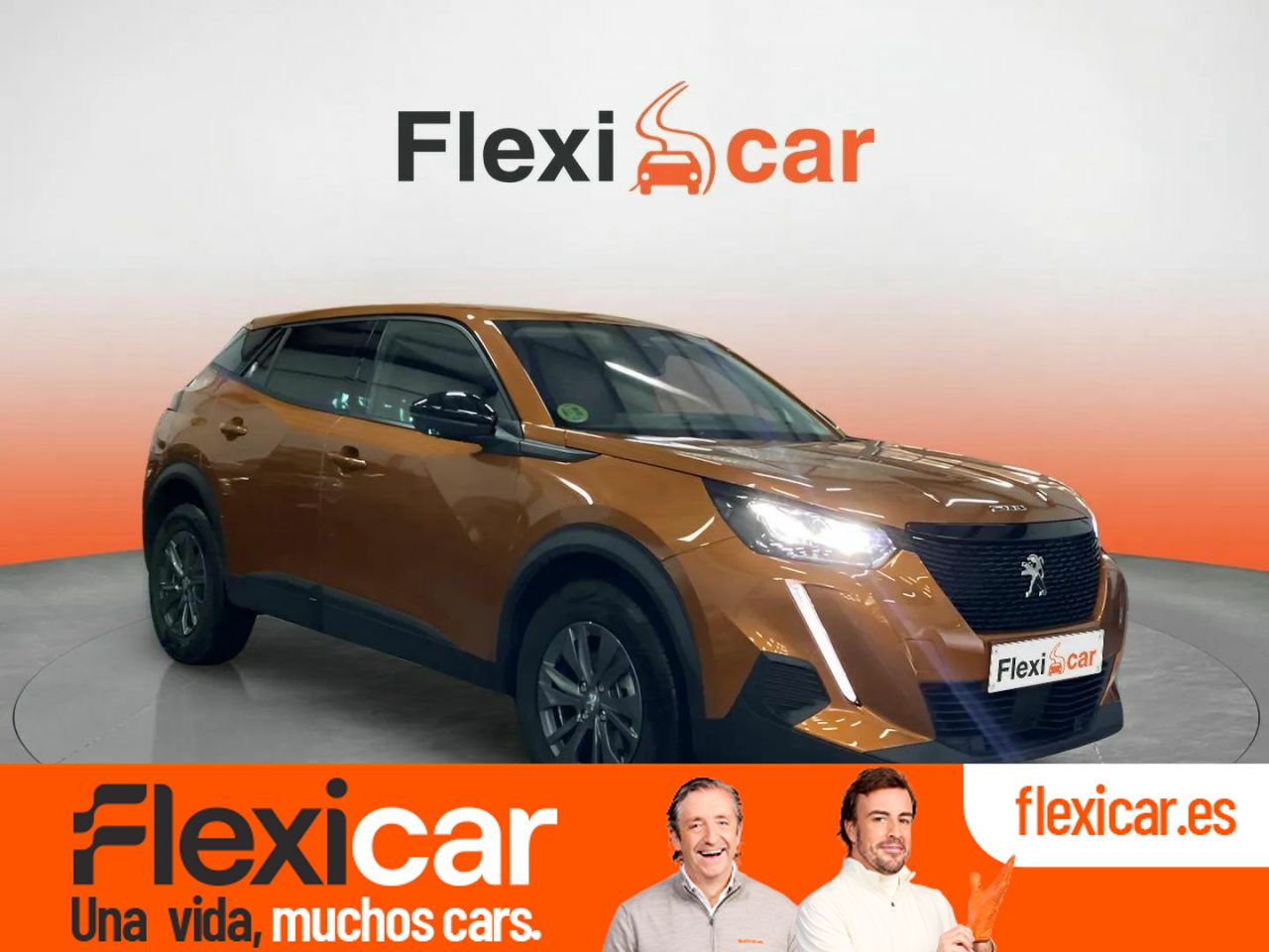 Foto Peugeot 2008 1