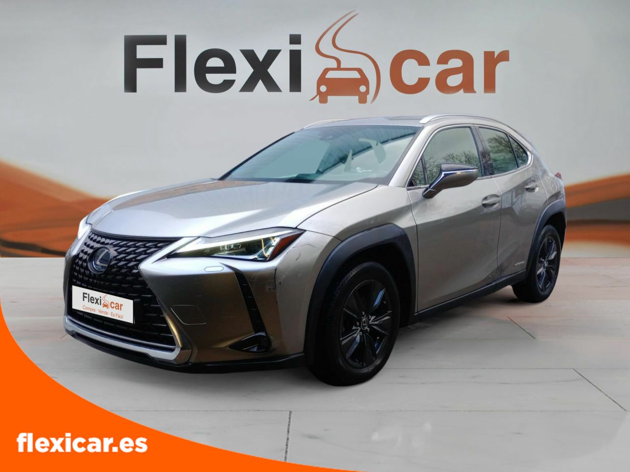 Foto Lexus UX 4