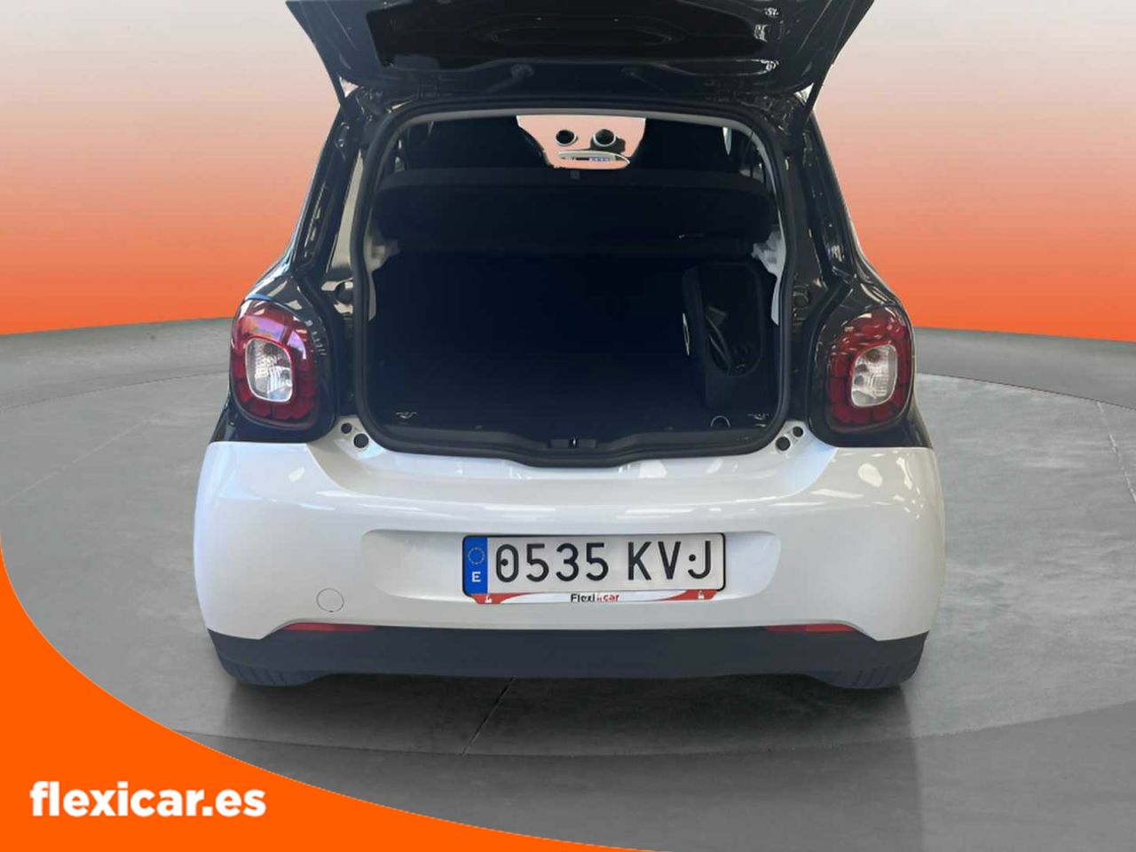 Foto Smart Forfour 17