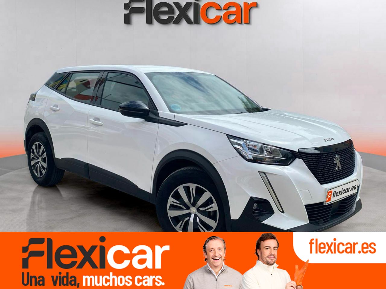 Foto Peugeot 2008 1