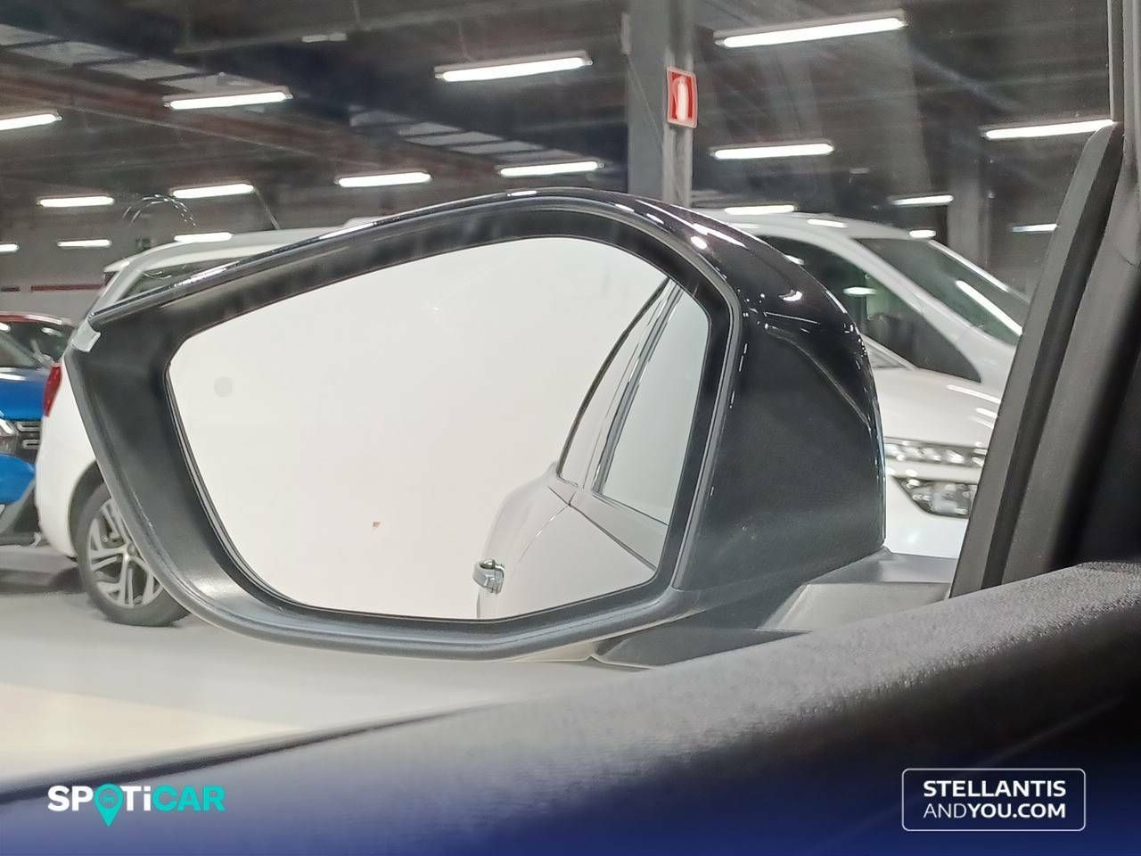 Foto Citroën C5 X 19